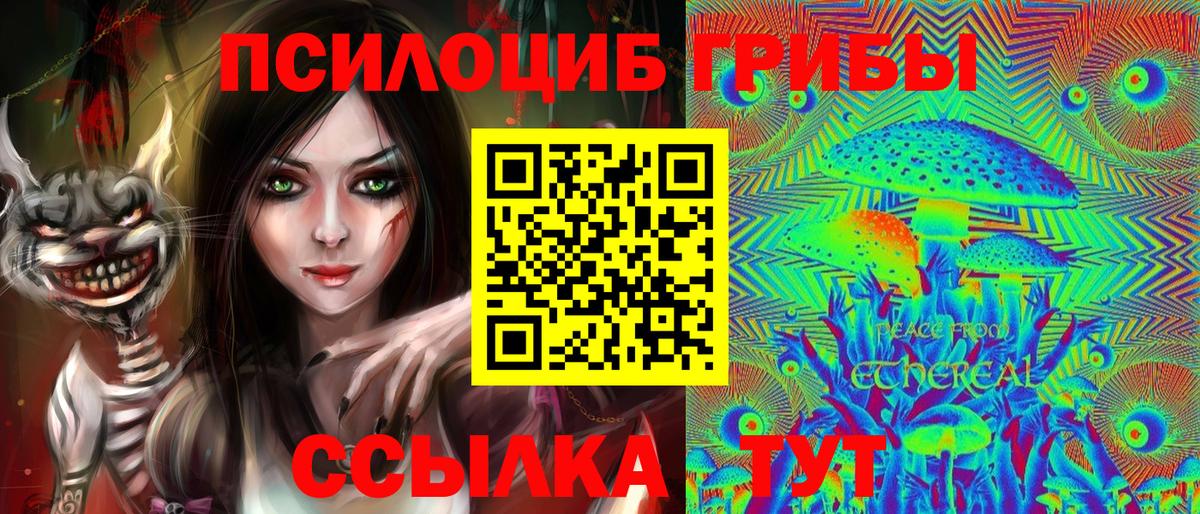 Псилоцибиновые грибы мухоморы Михайловск