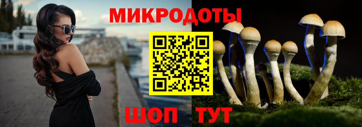 купить наркотики цена  Вход с VPN  Михайловск  Псилоцибиновые грибы Magic Shrooms 