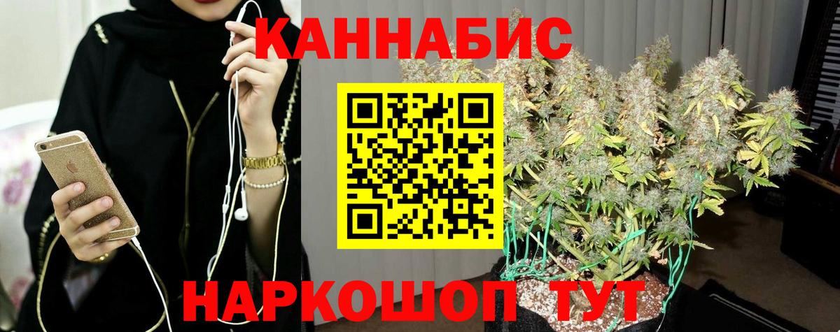 Бошки Шишки Amnesia Михайловск